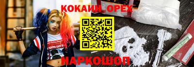 mdpv Славгород